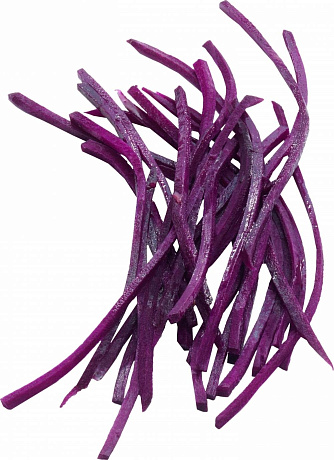 Набор из 5 дисков Robot Coupe 1960